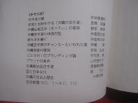 沖縄伝統空手ブランドを創る 　　   沖縄伝統空手叢書　 ①　　    濱川 謙　 著 　　   空手新聞社 　発行   　　　　    【沖縄・琉球・歴史・文化・格闘技・武道・空手・唐手・ＫＡＲＡＴＥ】