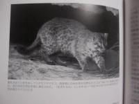 ☆時の眼  ―  沖縄      　   復帰４０年の軌跡     　    比嘉豊光 ・ 山城博明  写真展   図録集  　       琉球新報社    発行     　         【沖縄・琉球・歴史・文化・ドキュメント】