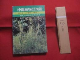 ★☆沖縄植物野外活用図鑑     　  第７巻    　    シダ植物  ～  まめ科   　     監修    多和田真淳       　 池原直樹    著        　新星図書    発行      　       【沖縄・琉球・自然・生物・野草】