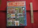 誰にでもできる薬草の利用法　　   沖縄の薬草百科 　　  やさしい煎じ方と飲み方   　　カラー版 　　   著者　 多和田真淳　・　大田  文子    　　発行所　 新星図書出版株式会社　　        【沖縄・琉球・自然・植物・健康・民間療法】
