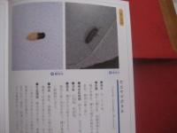 沖縄のホタル　　  陸生ホタルの飼育と観察    　　文 ・ 写真　 深石 隆司   　　 沖縄出版 　発行   　　　　      【沖縄・琉球・自然・生物・昆虫】