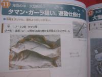 楽しい防波堤釣り     　　  初心者からベテランまで！　　      防波堤ポイント ７４   　　   砂浜・護岸ポイント     　　 沖縄の防波堤釣り仕掛け １７  　　              【沖縄・琉球・趣味・フィッシング・海洋レジャー】