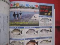 楽しい防波堤釣り     　　  初心者からベテランまで！　　      防波堤ポイント ７４   　　   砂浜・護岸ポイント     　　 沖縄の防波堤釣り仕掛け １７  　　              【沖縄・琉球・趣味・フィッシング・海洋レジャー】
