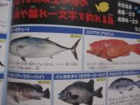楽しい防波堤釣り     　　  初心者からベテランまで！　　      防波堤ポイント ７４   　　   砂浜・護岸ポイント     　　 沖縄の防波堤釣り仕掛け １７  　　              【沖縄・琉球・趣味・フィッシング・海洋レジャー】