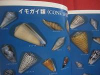 沖縄の自然　　  貝の世界   　　 カラー百科シリーズ １０   　　 白井祥平 　 著   　　 新星図書  　発行  　　　　     【沖縄・琉球・自然・海洋生物・軟体動物・図鑑】