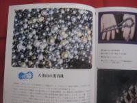 沖縄の自然　　  貝の世界   　　 カラー百科シリーズ １０   　　 白井祥平 　 著   　　 新星図書  　発行  　　　　     【沖縄・琉球・自然・海洋生物・軟体動物・図鑑】