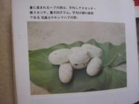 ☆改訂  　ハブと人間    　　吉田朝啓 　著 　　   琉球新報社 　発行 　　                    【沖縄・琉球・自然・生物・動物・爬虫類・知識】