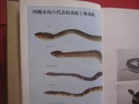 ☆改訂  　ハブと人間    　　吉田朝啓 　著 　　   琉球新報社 　発行 　　                    【沖縄・琉球・自然・生物・動物・爬虫類・知識】