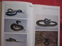 ☆改訂  　ハブと人間    　　吉田朝啓 　著 　　   琉球新報社 　発行 　　                    【沖縄・琉球・自然・生物・動物・爬虫類・知識】