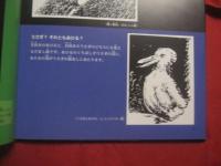 トリックアート図鑑 　　   だまし絵  　　  監修　  北岡明佳 　　   構成・文　  グループ・コロンブス　　    あかね書房　  発行  　　　　     【かくし絵・目の錯覚】