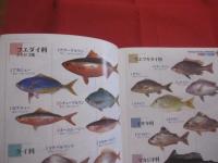 ☆沖縄    　沖釣り 　  磯釣り   　徹底仕掛け     　    保存版            　新垣柴太郎 　  著           　　      【沖縄・琉球・自然・フィッシング・海洋レジャー】