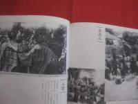 絵はがきにみる  　沖縄   　　 明治 ・ 大正 ・ 昭和  　　  ボーダーインク　  編 　　   琉球新報社　  発行   　　           【沖縄・琉球・歴史・文化・写真集】