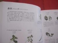プロのためのわかりやすいフランス料理   　　 水野邦昭 （ 辻調理師専門学校 ）　  著 　　   柴田書店 　 発行   　　　　    【料理・洋食・食文化・レシピ】