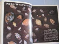 沖縄の自然  　　　貝の世界 　　　　　カラー百科シリーズ　　１０    　　　　　【沖縄・琉球・自然・海洋生物・軟体動物・図鑑】