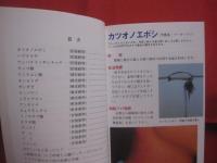 海洋咬刺傷マニュアル    　　海の生き物と楽しく過ごすために   　　 小浜正博 （ 伊江村立診療所所長 ）　 著　　　　       【沖縄・琉球・自然・生物・医療】