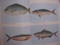 雲がおしえる  　釣れる日　  釣れない日  　　  グルクン　・　アカジンの釣り方 　　   久場兼昌 　著 　　   沖縄タイムス社　 発行　　　　           【沖縄・琉球・趣味・フィッシング・海洋レジャー】