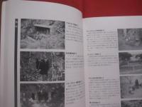 沖縄市の遺跡 　　   第２次分布調査報告書    　　沖縄市文化財調査報告書　 第２８集    　　沖縄市教育委員会　  発行  　　　　    【沖縄・琉球・歴史・文化】