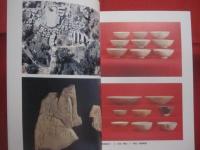 嘉手納町文化財調査報告書第１集  　　  屋良グスク   　　 屋良城跡公園整備計画に伴う範囲確認調査    　　 嘉手納町教育委員会 編集 　発行　　　　      【沖縄・琉球・歴史・文化】