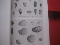 嘉手納町文化財調査報告書第１集  　　  屋良グスク   　　 屋良城跡公園整備計画に伴う範囲確認調査    　　 嘉手納町教育委員会 編集 　発行　　　　      【沖縄・琉球・歴史・文化】