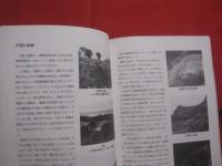 城　 （ 　グスク　 ） 　 城に語らせたい地域の歴史   　　 編集　 ・ 　発行　  沖縄県県立博物館　　　　　　　　  【沖縄・琉球・歴史・文化】