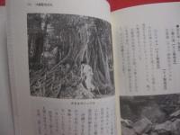 ☆沖縄聖地巡礼 　　   中川角司 　著 　　   明窓出版　 発行　　              【沖縄・琉球・歴史・文化・信仰】