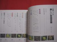 沖縄でつくる　  楽しい家庭菜園   　　 沖縄に合わせた栽培法  　　  今植えられる野菜がわかる    　　喜久山守良 　 著　　    沖縄出版　  発行 　　　　    【沖縄・琉球・植物・野菜・園芸】