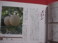 沖縄でつくる　  楽しい家庭菜園   　　 沖縄に合わせた栽培法  　　  今植えられる野菜がわかる    　　喜久山守良 　 著　　    沖縄出版　  発行 　　　　    【沖縄・琉球・植物・野菜・園芸】