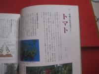 沖縄でつくる　  楽しい家庭菜園   　　 沖縄に合わせた栽培法  　　  今植えられる野菜がわかる    　　喜久山守良 　 著　　    沖縄出版　  発行 　　　　    【沖縄・琉球・植物・野菜・園芸】