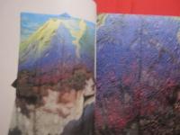 ヨーロッパ巡回展帰朝記念　　  一竹辻が花展  　　  作品撮影　 中本徳豊　　    編集・発行　 Ｋｕｂｏｔａ　 Ｐｌａｎｎｉｎｇ   　　　　   【美術・伝統・工芸・染め織物・文化】