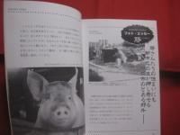 木登り豚    　　又吉栄喜 （ 芥川賞作家 ）　 著  　　  別冊 　カルチュア 　　　　      【沖縄・琉球・文化・文学・豚の報い】