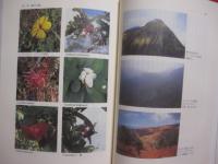 ☆ハワイイ紀行　　    池澤夏樹 　著   　　  新潮社　 発行　　     ＪＴＢ紀行文学大賞受賞  　　　　    【海外旅行・文化・知識・ガイド・文学】