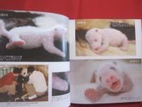 パンダ育児日記 　　   中国パンダ保護研究センター 　／　 日本パンダ保護協会 　編  　　  二見書房 　発行  　　　　    【生物・動物・写真本・癒し】