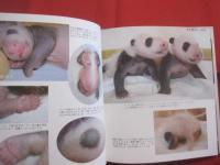 パンダ育児日記 　　   中国パンダ保護研究センター 　／　 日本パンダ保護協会 　編  　　  二見書房 　発行  　　　　    【生物・動物・写真本・癒し】