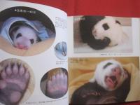 パンダ育児日記 　　   中国パンダ保護研究センター 　／　 日本パンダ保護協会 　編  　　  二見書房 　発行  　　　　    【生物・動物・写真本・癒し】