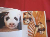 パンダ育児日記 　　   中国パンダ保護研究センター 　／　 日本パンダ保護協会 　編  　　  二見書房 　発行  　　　　    【生物・動物・写真本・癒し】