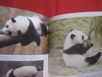 パンダ育児日記 　　   中国パンダ保護研究センター 　／　 日本パンダ保護協会 　編  　　  二見書房 　発行  　　　　    【生物・動物・写真本・癒し】