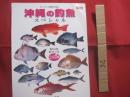 フィッシング亜熱帯 ・ 別冊  　　  沖縄の釣魚　スペシャル 　　  釣れる魚  釣りたい魚 　 ２４５種 　　   改訂版    　　　　  【沖縄・琉球・自然・アウトドア・フィッシング・海洋レジャー】