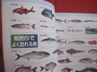 フィッシング亜熱帯 ・ 別冊  　　  沖縄の釣魚　スペシャル 　　  釣れる魚  釣りたい魚 　 ２４５種 　　   改訂版    　　　　  【沖縄・琉球・自然・アウトドア・フィッシング・海洋レジャー】