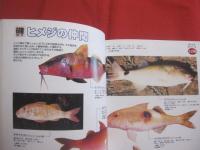 フィッシング亜熱帯 ・ 別冊  　　  沖縄の釣魚　スペシャル 　　  釣れる魚  釣りたい魚 　 ２４５種 　　   改訂版    　　　　  【沖縄・琉球・自然・アウトドア・フィッシング・海洋レジャー】