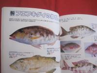 フィッシング亜熱帯 ・ 別冊  　　  沖縄の釣魚　スペシャル 　　  釣れる魚  釣りたい魚 　 ２４５種 　　   改訂版    　　　　  【沖縄・琉球・自然・アウトドア・フィッシング・海洋レジャー】