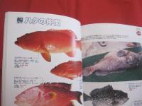 フィッシング亜熱帯 ・ 別冊  　　  沖縄の釣魚　スペシャル 　　  釣れる魚  釣りたい魚 　 ２４５種 　　   改訂版    　　　　  【沖縄・琉球・自然・アウトドア・フィッシング・海洋レジャー】