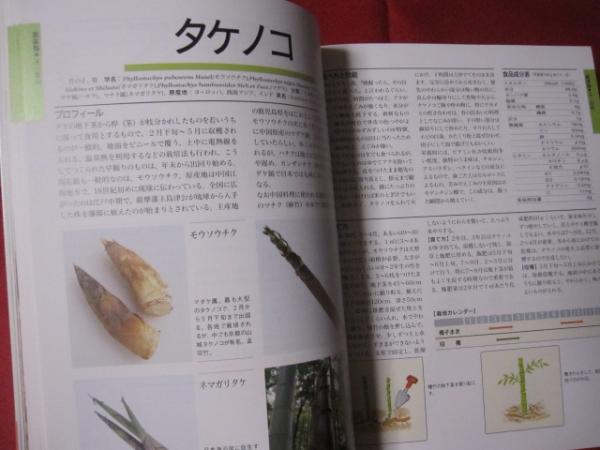 花図鑑　野菜+果物-