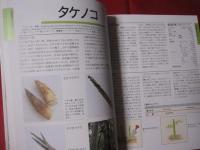 花図鑑 野菜＋果物 草土 花図鑑シリーズ④ 【植物】