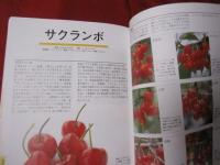 花図鑑 野菜＋果物 草土 花図鑑シリーズ④ 【植物】
