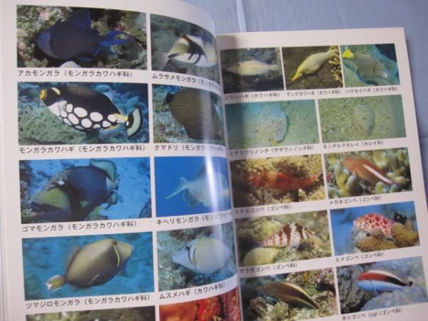 ダイビングポイントマップ ― ケラマ編 ― 保存版 【沖縄・琉球
