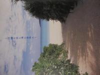 島人魂（しまんちゅだましい） 【沖縄・琉球・島唄・文化】