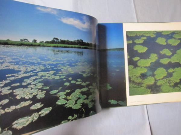 北海道　釧路湿原 ＫＵＳＨＩＲＯ ＭＡＲＳＨ 窪田正克写真集 写真集自然・風景 釧路湿原 KUSHIRO MARSH 窪田正克写真集 【写真集