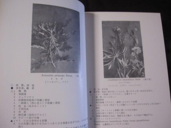 沖縄薬草のききめ 沖縄 琉球 健康 医療 民間療法 文化 著者 発行者 多和田 真淳 古本 中古本 古書籍の通販は 日本の古本屋 日本の古本屋