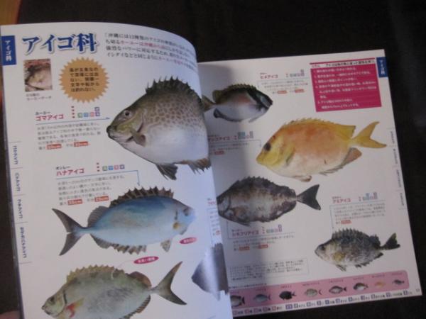 おきなわの釣り魚図鑑３２０種 改訂版 沖縄 琉球 自然 生物 趣味 フィッシング 文化 企画 編集 城 一人 古本 中古本 古書籍の通販は 日本の古本屋 日本の古本屋