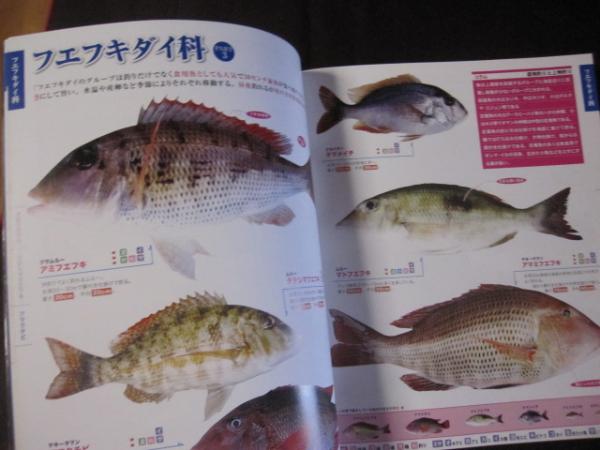 おきなわの釣り魚図鑑３２０種 改訂版 沖縄 琉球 自然 生物 趣味 フィッシング 文化 企画 編集 城 一人 古本 中古本 古書籍の通販は 日本の古本屋 日本の古本屋